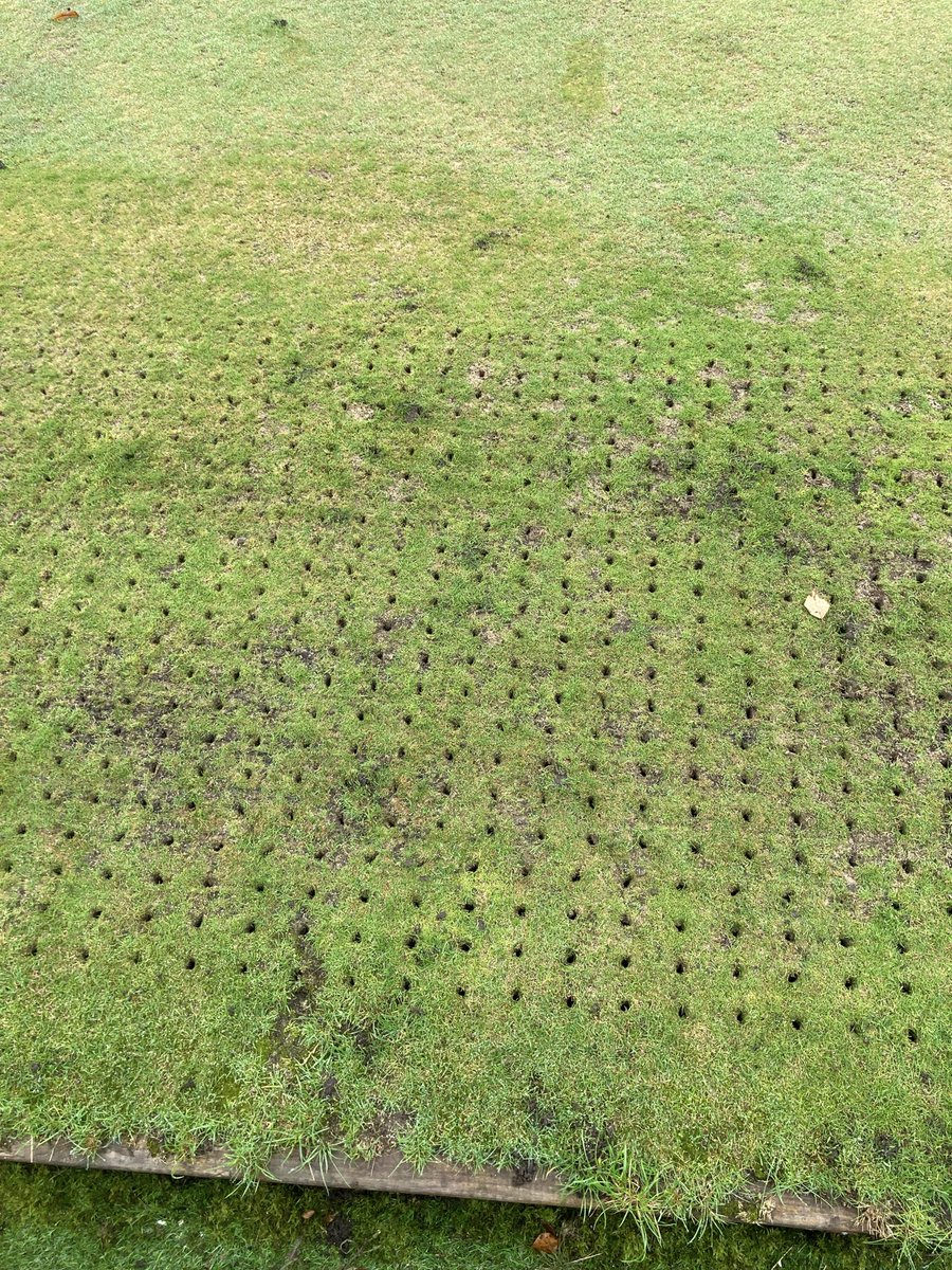 Thomastown tweet media