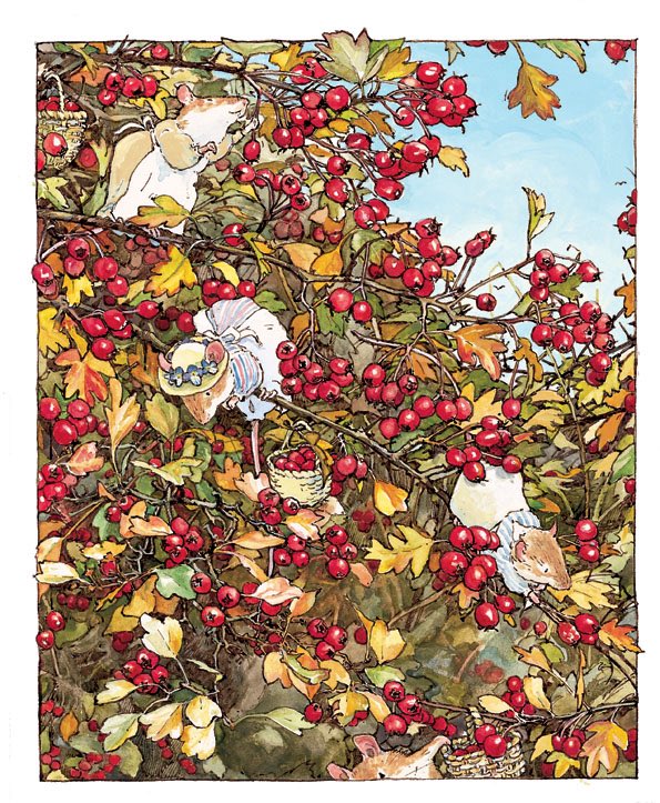 Brambly Hedge tweet media