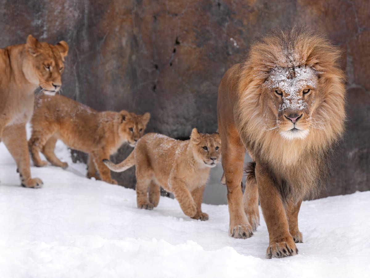 父親を不審者扱いする娘たち