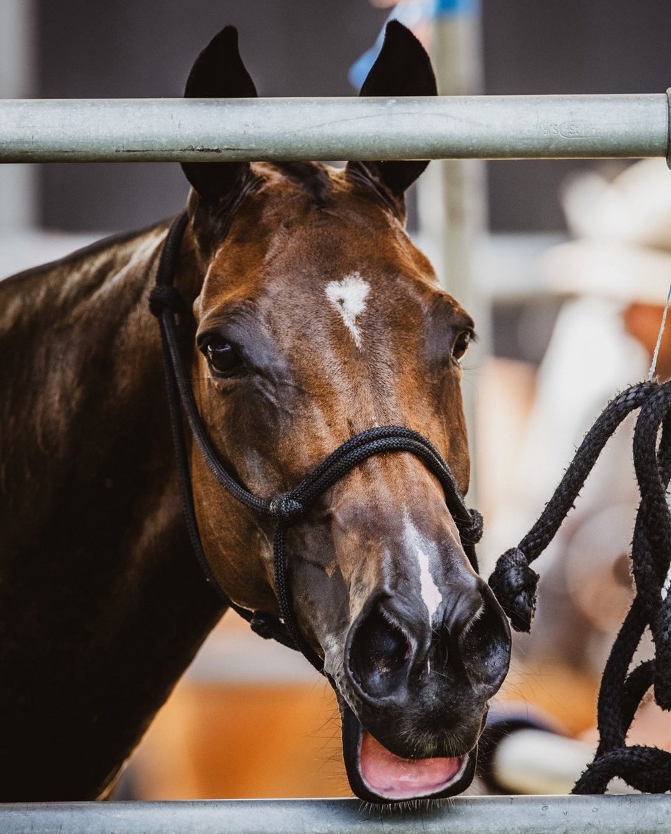 Smiling our way into the weekend 😃#WorldSmileDay