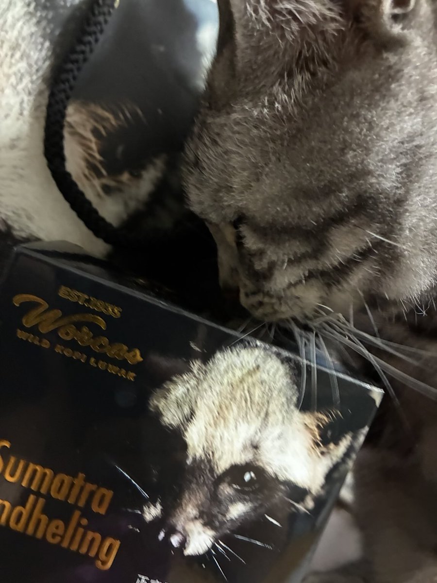 izu115mi's tweet photo. トリアージからHCUから大部屋と移動の1週間。間、自分の現場の検食。
一息☕️ついて幸せな時間🐈 https://t.co/nAQCK8t5N0