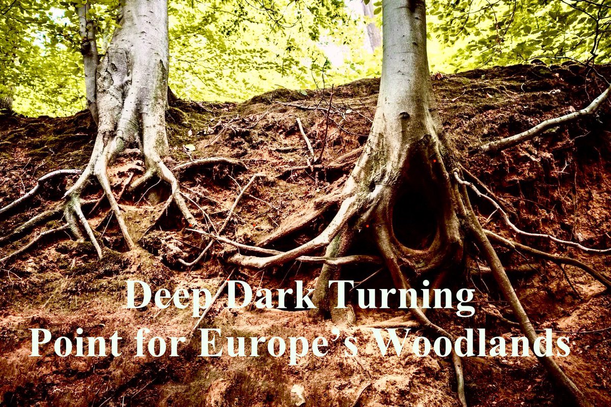 Het leek een gewone dinsdag in #Brussel, maar voor de Europese bossen bleek het vrijdag de dertiende. Terwijl de rook van de zwaarste #bosbranden in decennia langzaam optrok, kozen Europese #politici ervoor om met twee experimenten de overgebleven lucifers veilig te stellen, voor