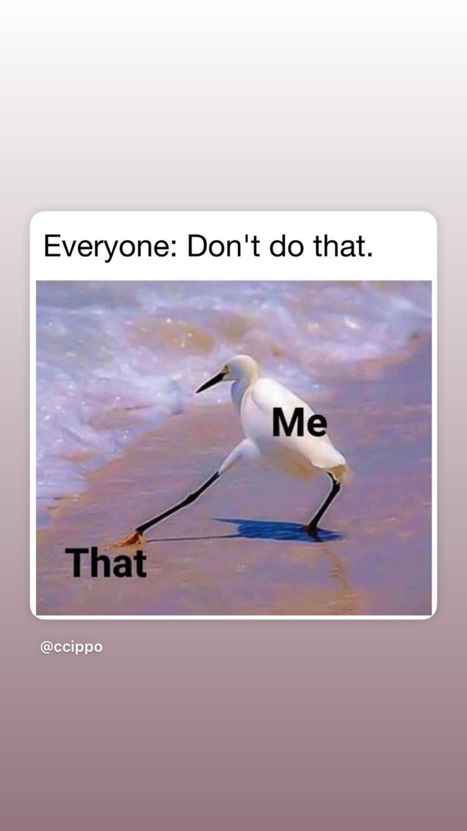 Yup! Pretty much. 🤭