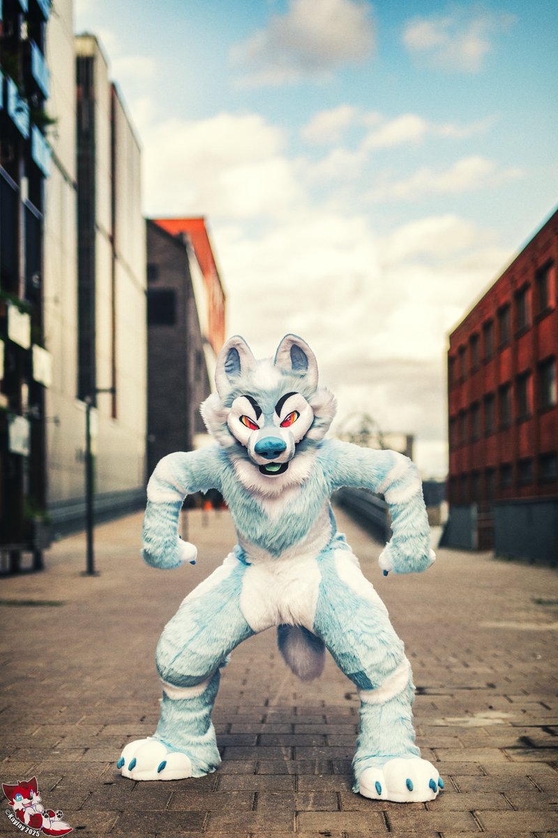 Fight me 😼 

📸: <a href="/KayJayFIN/">KayJay</a> 
#FursuitFriday
