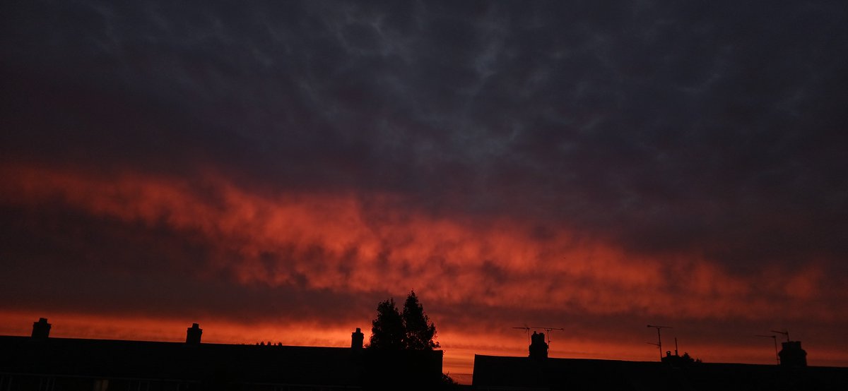 BesterRobert's tweet image. My #View from the window.