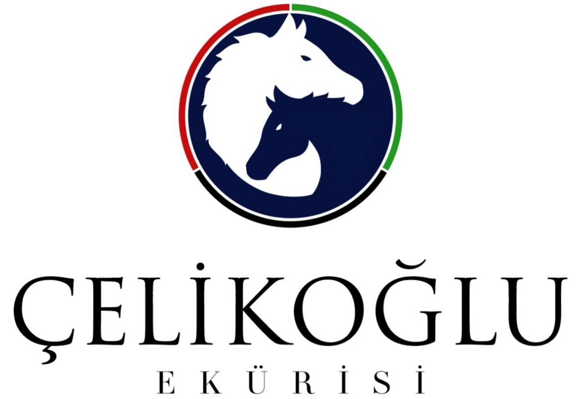 DEO VOLENTE by Blue Point !

Deo Volente kısa sürede elde ettiği başarılarla kendi jenerasyonun önemli safkanlarından biri olmayı başardı.

2 yaşında 7 kez start alıp Kv-8 Hüsamettin Tamer ve G3 II.İnönü koşularını kazanan doru erkek tay, G1 Çaldıran, G2 Kraliçe II.Elizabeth ve