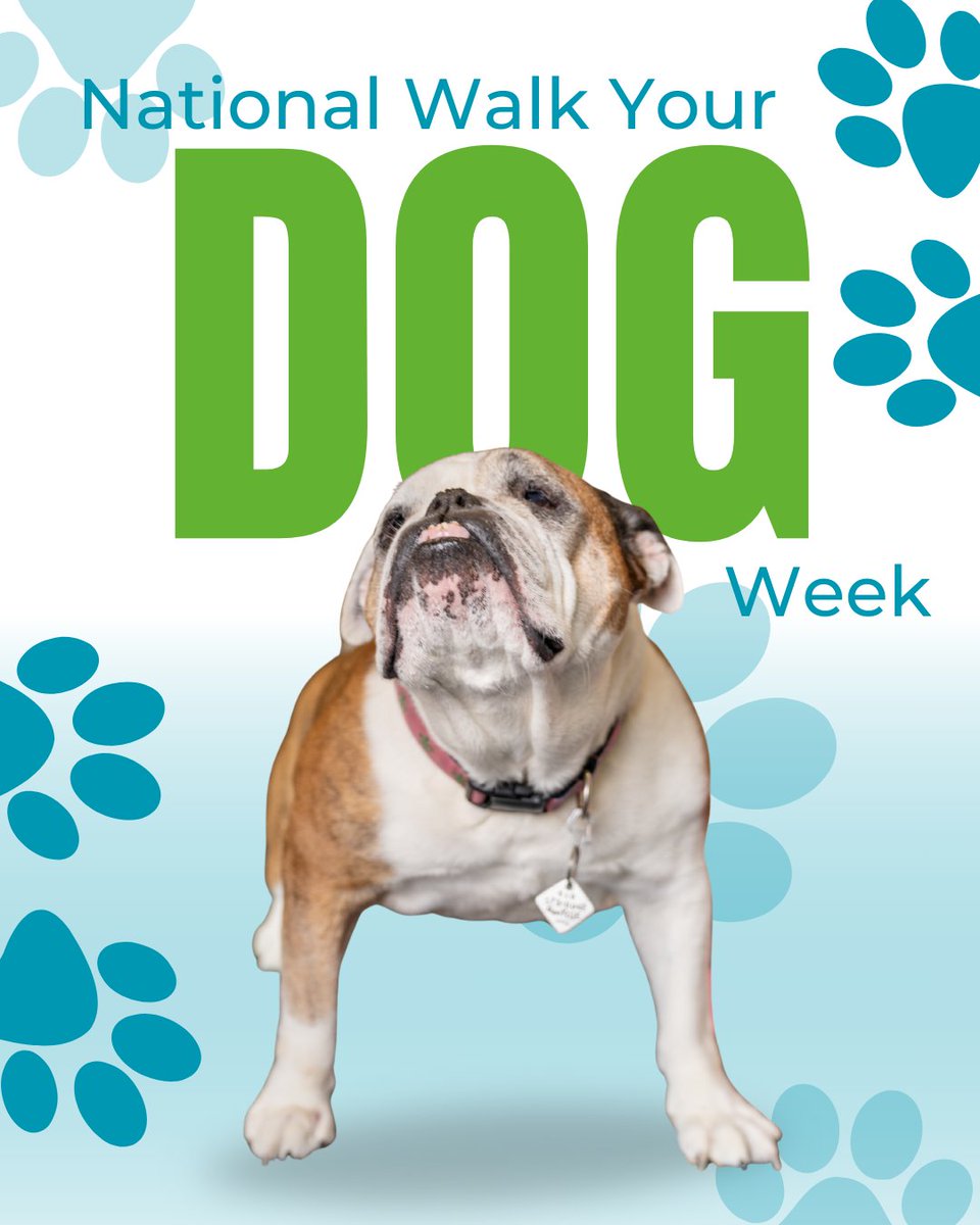 restorehlc's tweet image. 