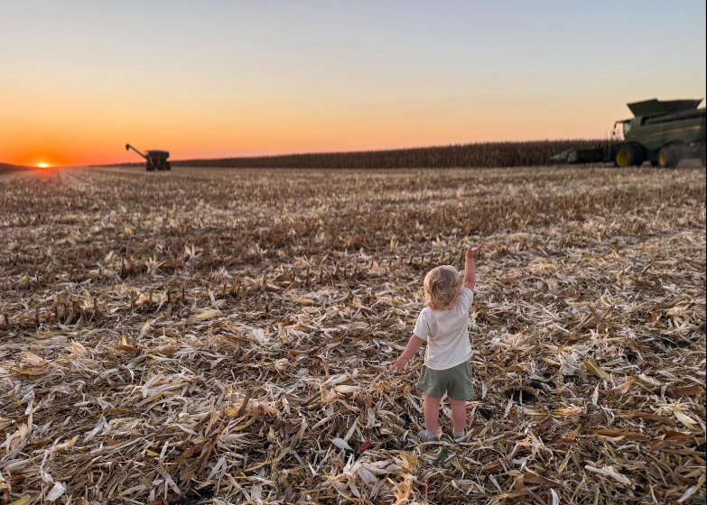 There's just something about a harvest sunset and a little farmer waving to his dad and grandpa 😍 #NuTechSeed #NuTechLifestyle #MoreThanSeed #Harvest