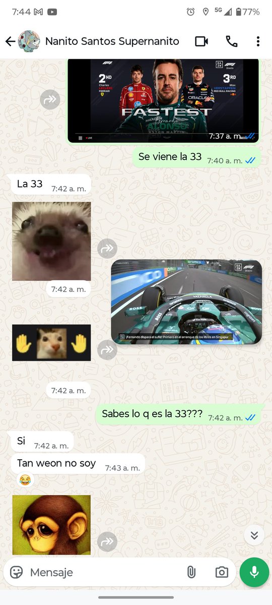 nanosantos's tweet photo. Le mando los mejores tiempos de P1 a mi hijo (15) y me sorprende q sepa q es "La 33" 🥳🥳🥳
Algo bien estamos haciendo 
#f1 #SingapurDAZNF1 #FernandoAlonso https://t.co/a60dva8doX