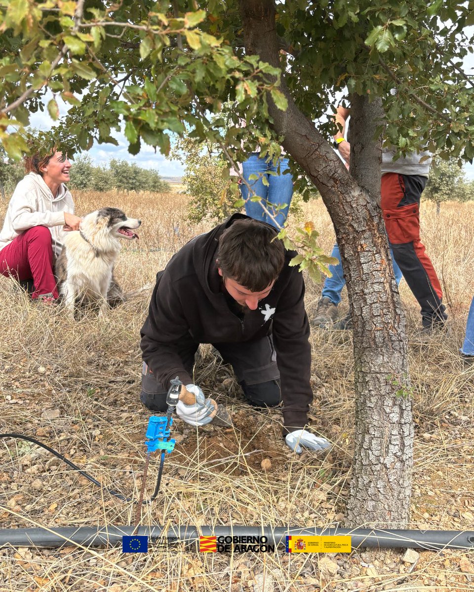 Cluster de Alimentación y Nutrición de Aragón tweet media
