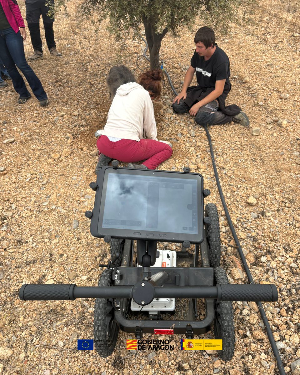 Cluster de Alimentación y Nutrición de Aragón tweet media