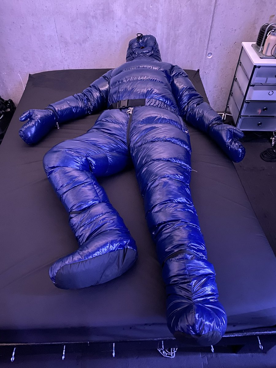 shinygearswitch tweet media