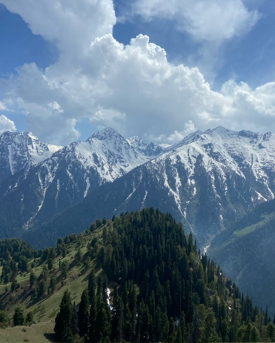 Shahvaiz_1's tweet image. Pakistan looks heavenly,
Pahalgam, J &amp;amp; K, Pakistan 🇵🇰