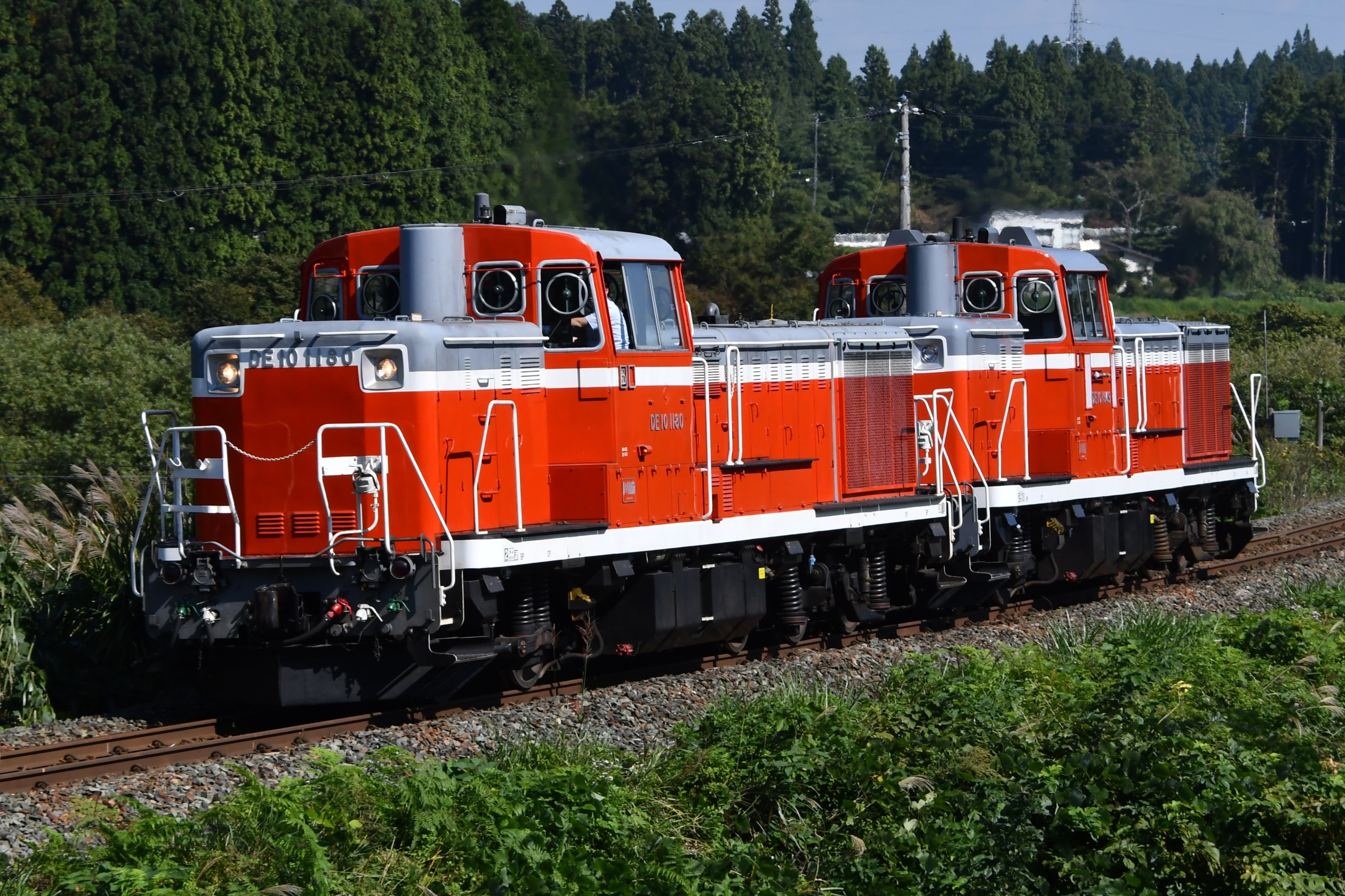 連年余り - 于培山 Amazon.co.jp: イネニカ 1800g お試しサイズ、ケイ酸カルシウム