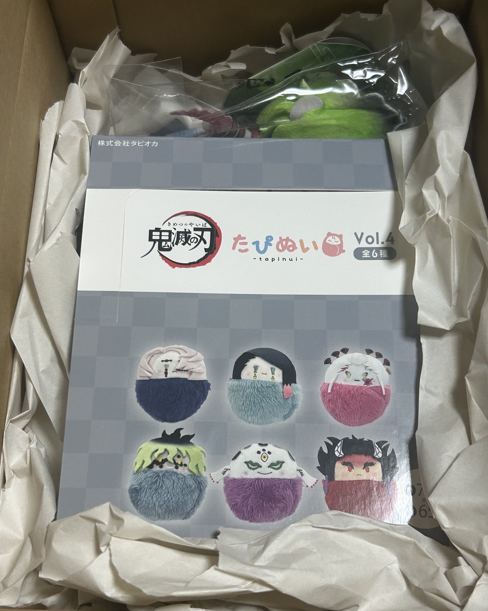 師弟の方　6BOX 新品未開封 a01.jpg