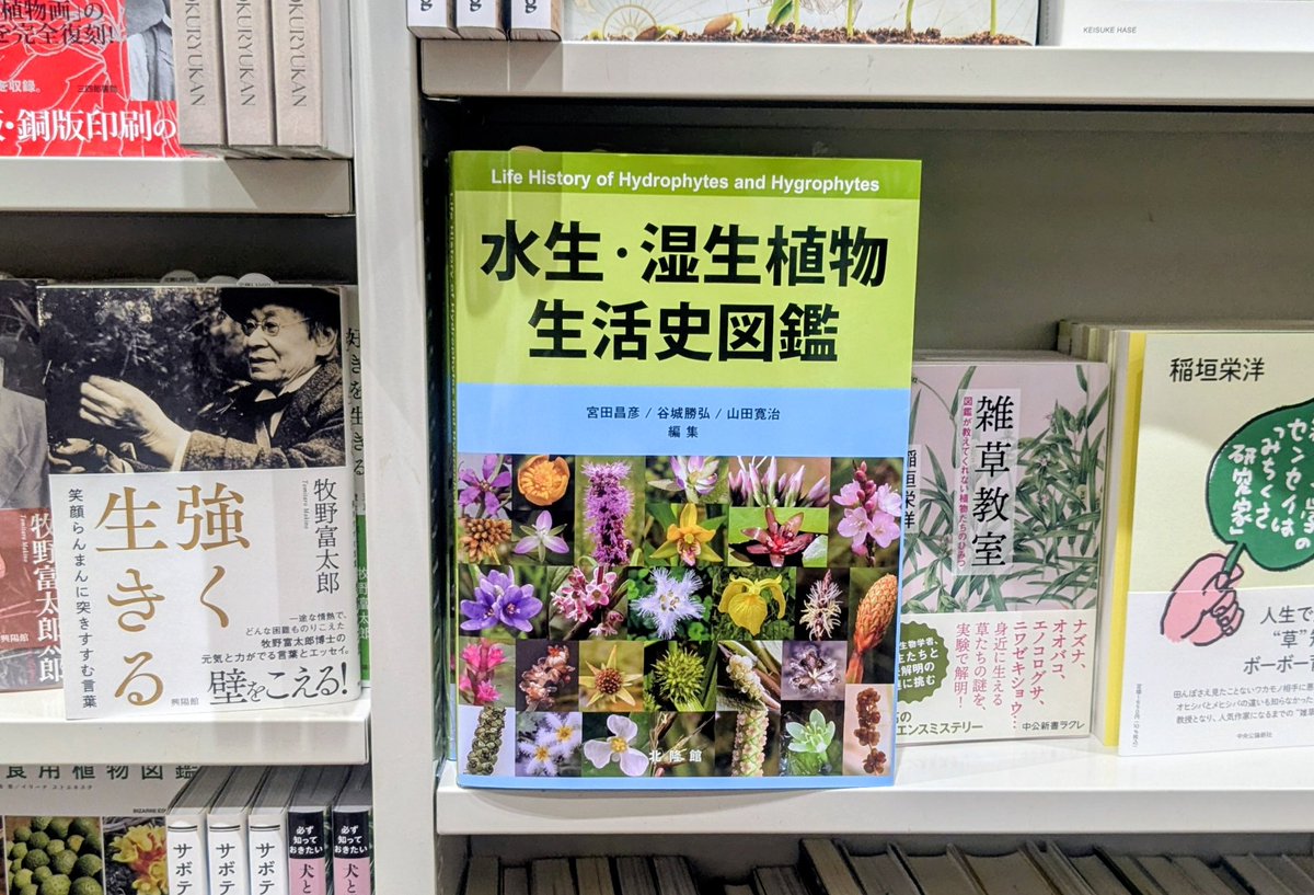 北隆館｜営業部 『牧野植物図鑑』100周年！！フェア開催中