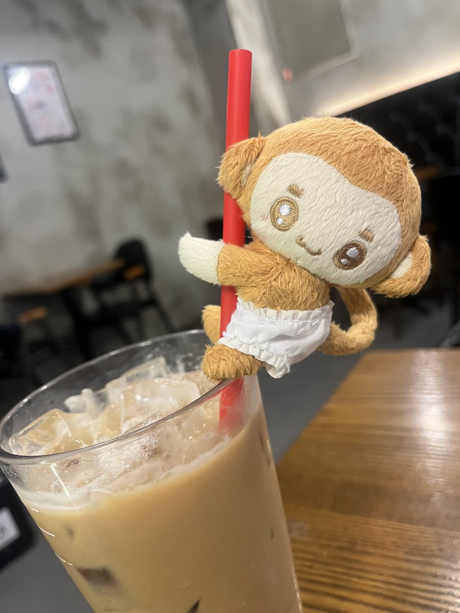 반려 툥싱이가 생겼어요🐒🐒🐒