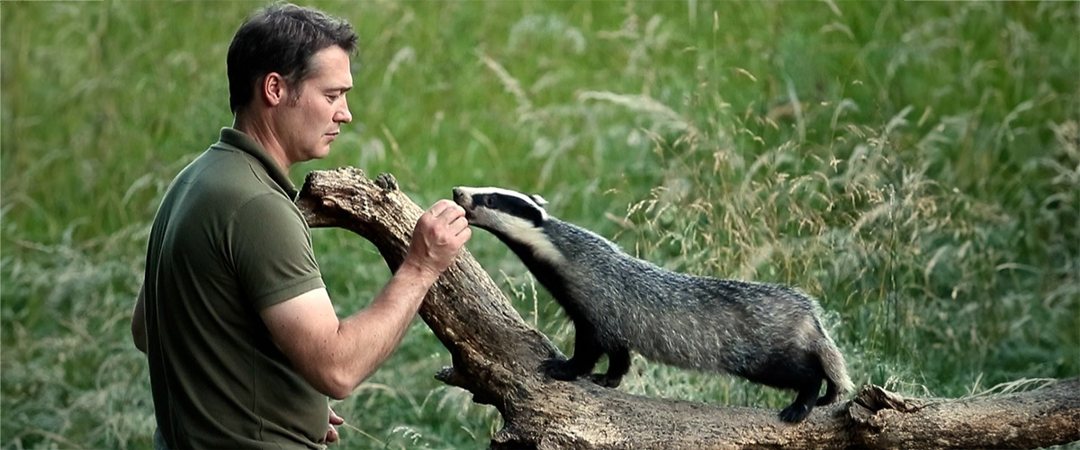 Tomorrow is National Badger Day🦡
Thought I'd share the story of a family of badgers I got to know well..they actually came to accept me as one of their own

Read more: robertefuller.com/blogs/blog/how…