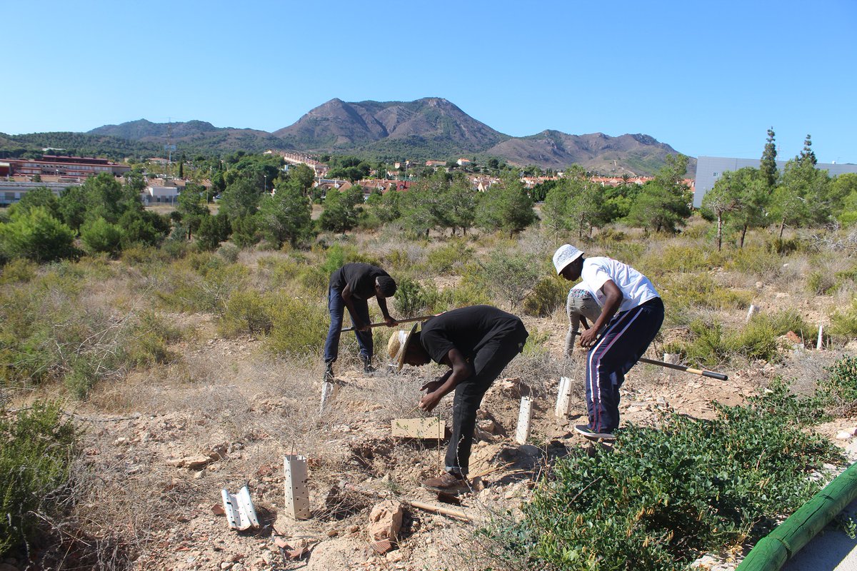 BosqueRomano's tweet photo. 🟢ACTUALIDAD🟢

🌱 Se retoman las plantaciones en el corredor verde de Bosque Romano tras el caluroso verano🌞

➡️https://t.co/nQdvakBQeZ

#bosqueromano @FBiodiversidad  #ProyectosPRTR #planderecuperación https://t.co/IEGAI1QawF