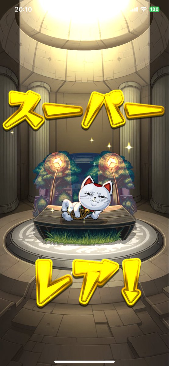 ncst5's tweet photo. 🐱 https://t.co/SG24qPehbL