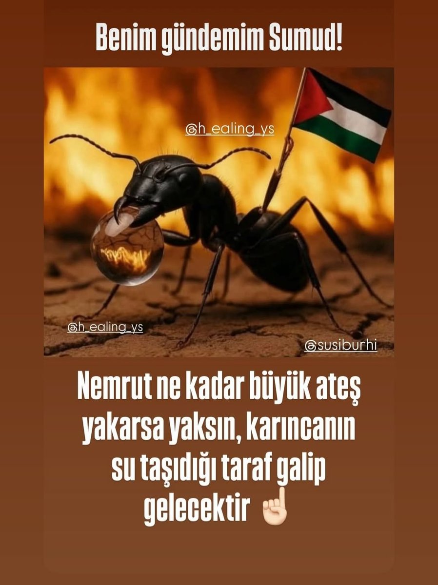 Delibal3535's tweet photo. https://t.co/RjqhYmWTd2