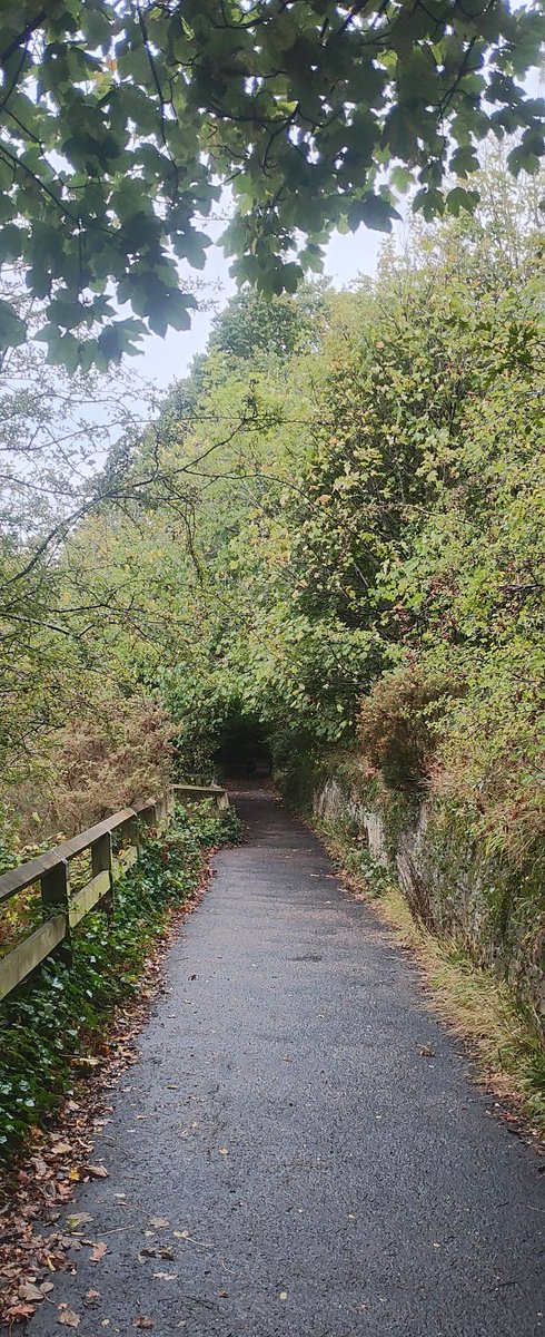 Jesmond Dene parkrun tweet media