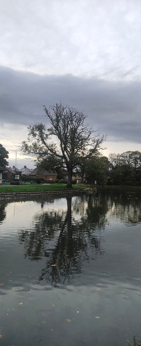 Jesmond Dene parkrun tweet media