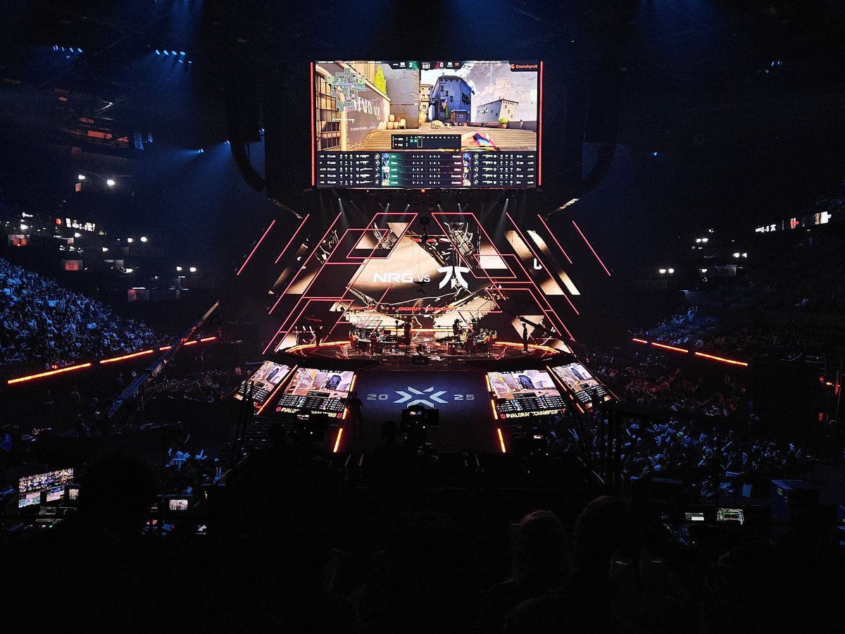 Watching people throwing dogs and birds