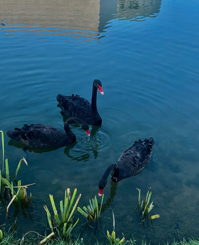 vimo1989's tweet photo. There are stories in twos and threes, where is my story?  #Walk#Park#BeautifulView#BeautifulMoments https://t.co/4BuKmtOnUl