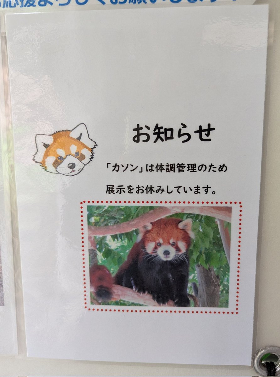 tamazoowalking's tweet photo. お休み期間が長引いてきてたから、ここのところ朝レサパン舎に着くとまずこのお知らせ外されてないかなって見ていた。外されてまた元気に出勤してくれる日を待っていたのに違う理由で外される日が来るなんてさ、、、😢 https://t.co/FI9bHQH1a0