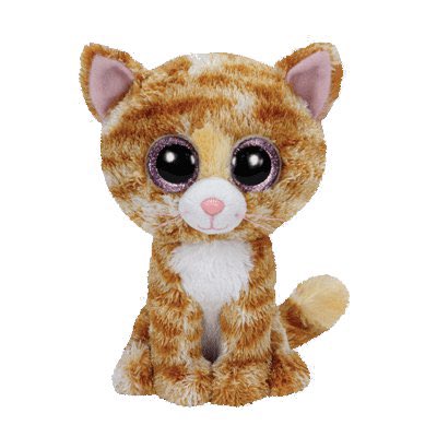 ExoticSeaweed's tweet photo. @oreoeocat @KiwiCat0703 She reminds me of a Beanie Boo https://t.co/5NSOeMofdK