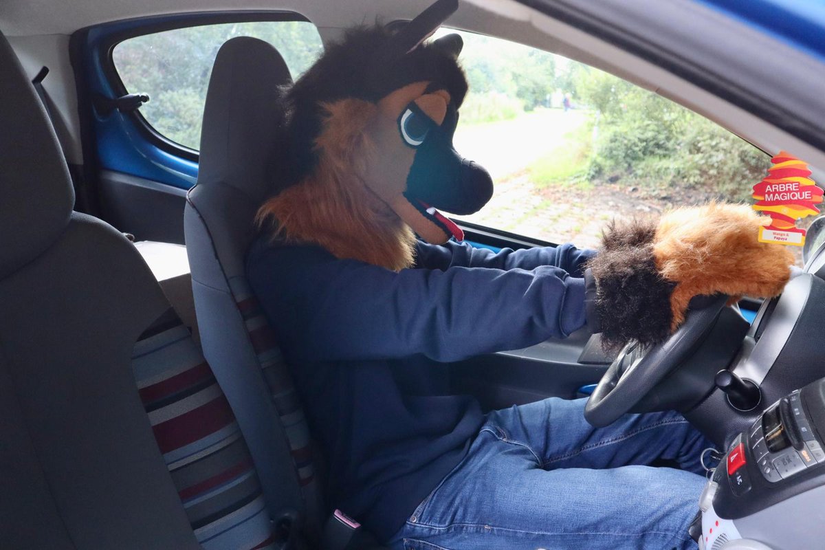 justinthesheppy's tweet photo. Sheppy driving

#FursuitFriday #fursuiteverday #dutchfurry #fursuit https://t.co/WJ5D4jFx55