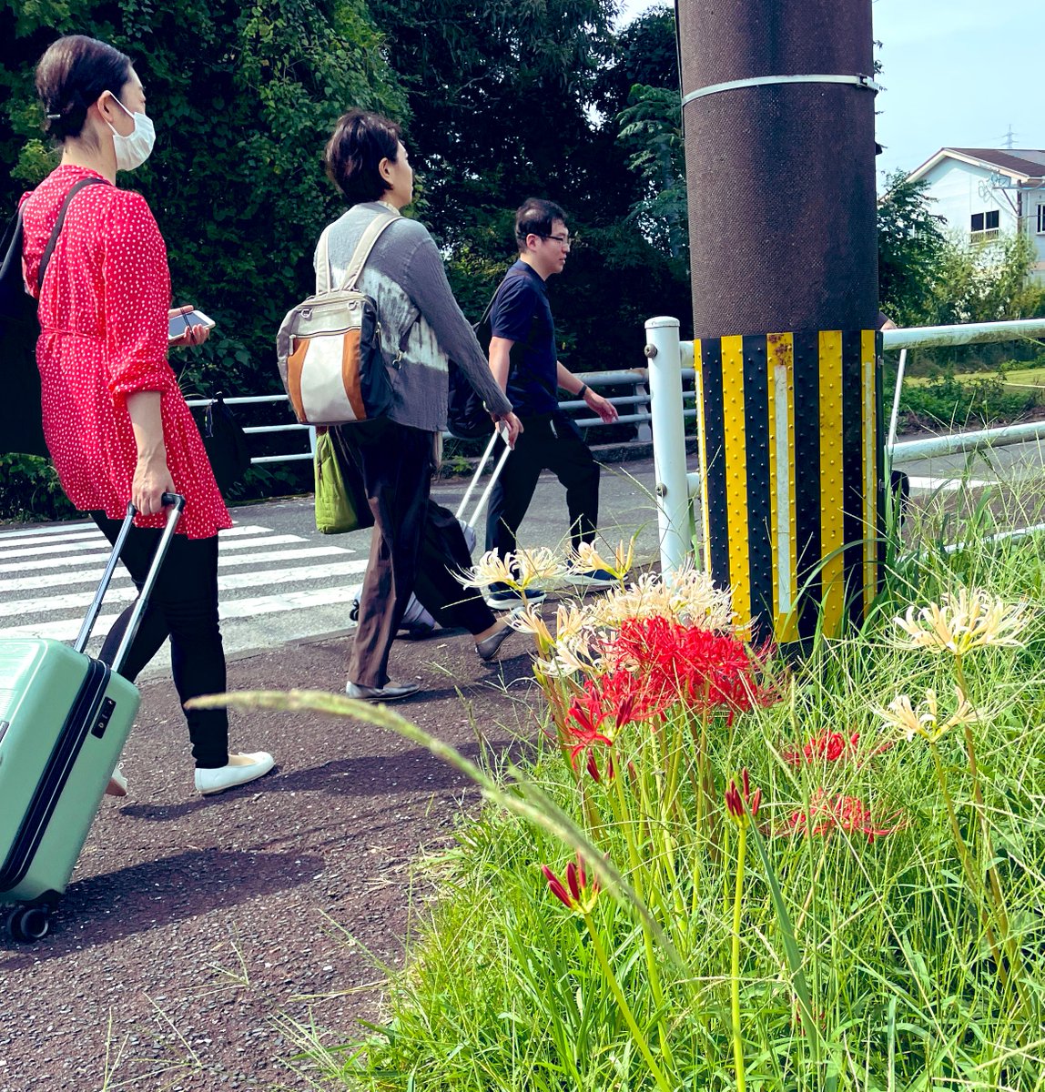 ［校歌指導担当みどりん🍀］いであやかさん<a href="/ide_ayaka/">井手綾香</a> 作曲の校歌はのびやかで美しく、この串間中学での日々や地元の自然や歴史を誇りに思えるような…そう素直に感じる素晴らしい校歌でした☺️
ほんの少しの声がけで更に素敵に変わった生徒さん達の歌声に何度も感動の鳥肌が…🐤🥹再会が楽しみﾃﾞｽ✨