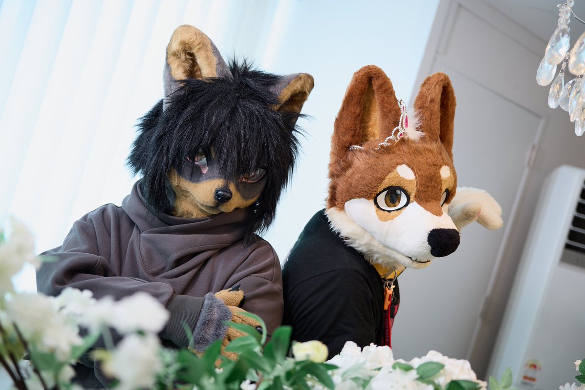 #FursuitFriday 
슬슬 퍼슈트 여름잠 깨는 시기!
🐶 : <a href="/wolfjjing/">늑찡</a>👑
📸 : <a href="/guni1636/">그니 GUNI</a>✨️