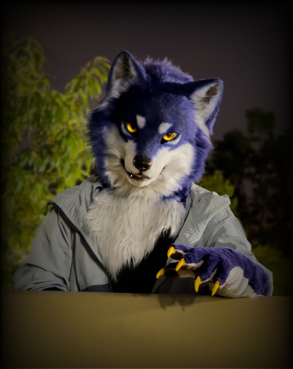 Kamikura_Kudaku's tweet image. #FursuitFriday