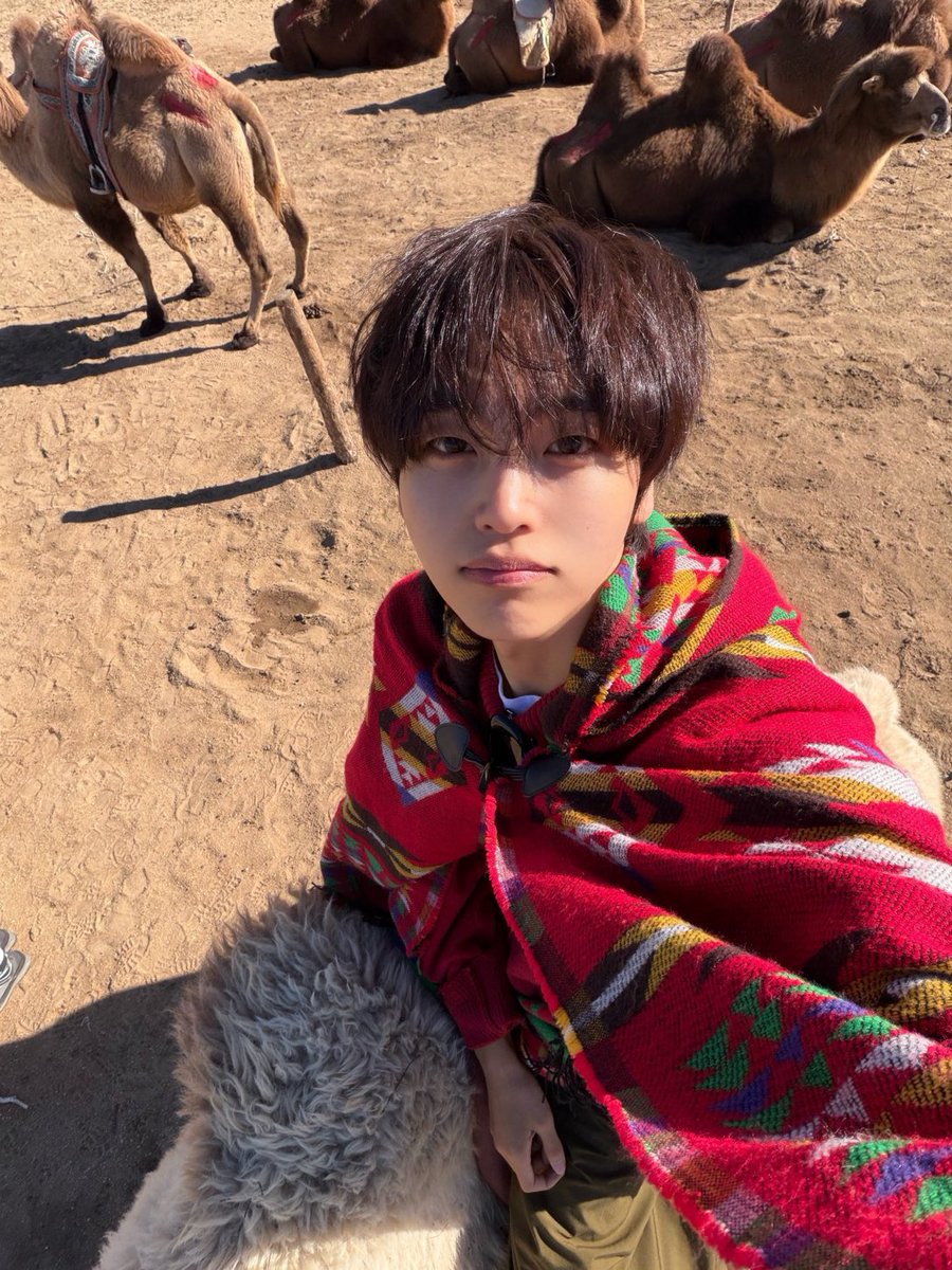 แทยองอยู่ภูเก็ต
ลอบิตี้ : ห๊ะะะะะะะะะะะ❓❗️

ฮยองจุนอยู่มองโกเลีย
ลอบิตี้ : ห๊าาาาาาาาาาาาาาาาาาา⁉️‼️❗️