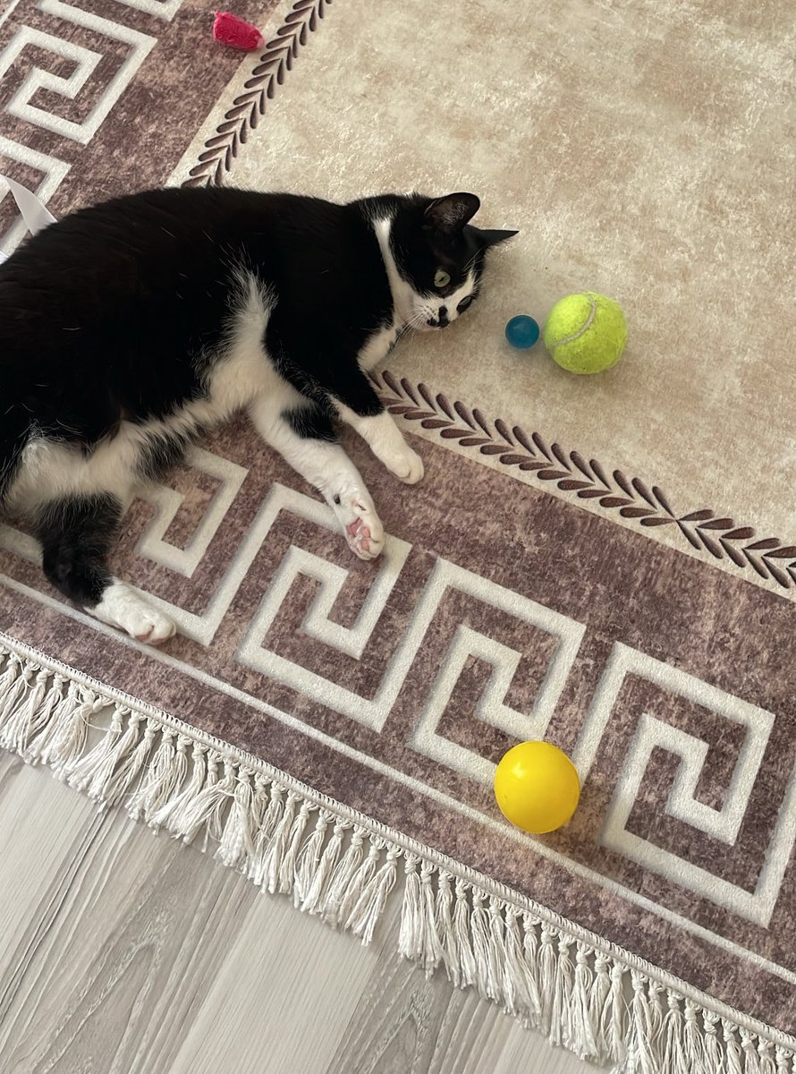 Ahh bugün benim çocuğumu sokaktan çaldığım gün götünü yediğim