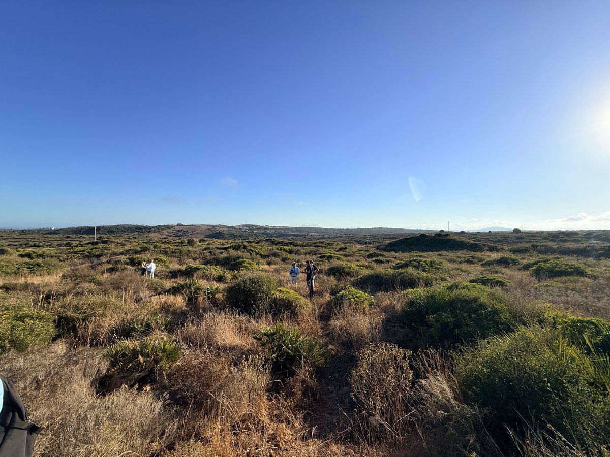 Ayer nos fuimos de excursión con el XII Congreso Internacional del Centro de Estudios Fenicios y Púnicos🤗 Visitamos los yacimientos de Los Castillejos de Alcorrín y Castillo de la Duquesa en #Manilva

📷 Una experiencia para aprender, compartir y valorar nuestro patrimonio.
