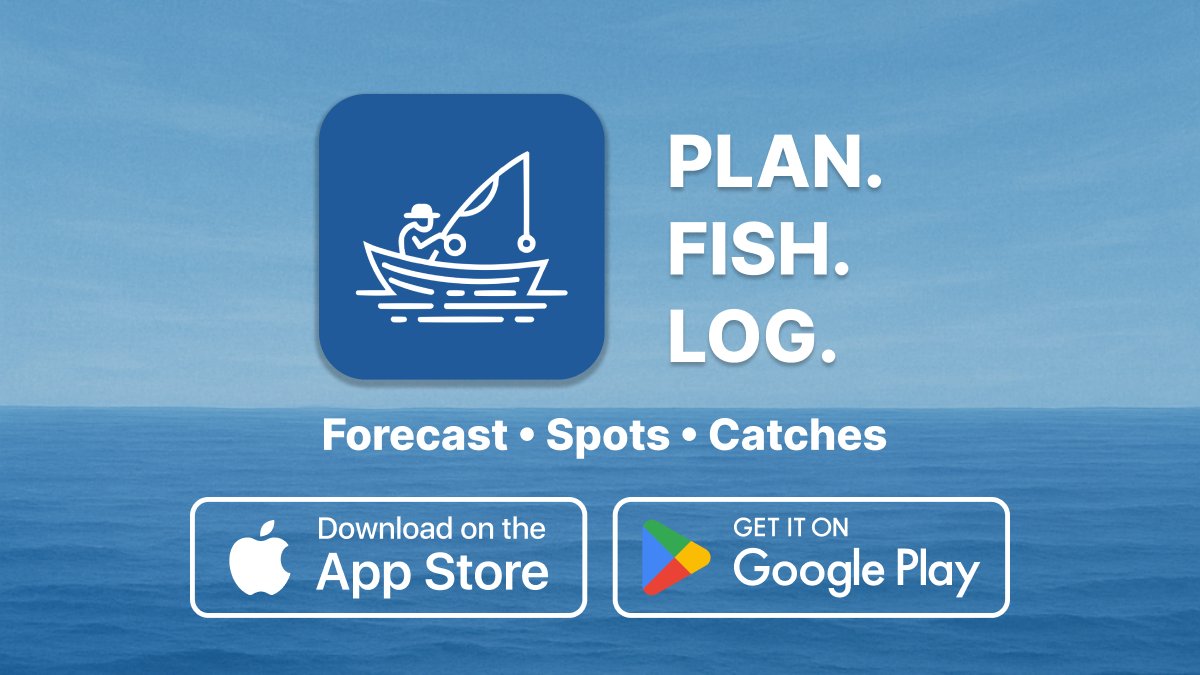 DMProjectsDev's tweet image. Finally Live in the stores!
6 months of work 🚀
Available on
App Store: apps.apple.com/us/app/fishers…
Play Store: play.google.com/store/apps/det…
Give me your thoughts!
#FishingApp #fishinglife #fishingtrip #buildinginpublic