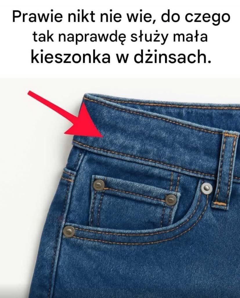 Maja tweet media