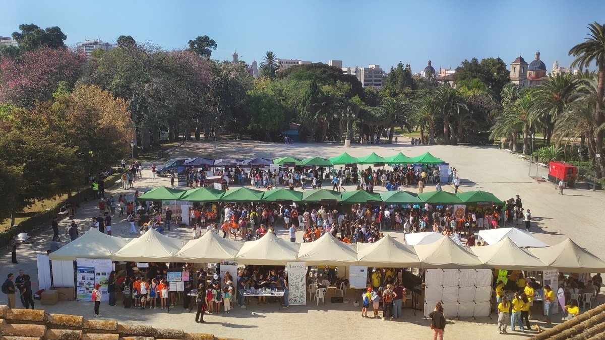 CSICval's tweet image. Conoce la actualidad y la agenda semanal de los centros del @CSIC en la Comunitat Valenciana en nuestro boletín #SemanaCSIC:     

delegacion.comunitatvalenciana.csic.es/boletin-03-10-…

@iata_csic  @IBMCP @Ingenio_CsicUpv @IFICorpuscular
@NeuroAlc @ITQ_UPVCSIC @CidEinvestiga  @i3m_upvcsic @i2sysbio @IBV_CSIC