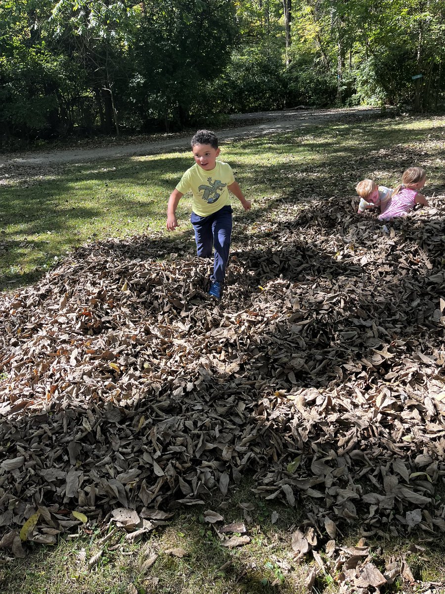 CampAdventure23's tweet photo. 🍂 Fall is here at Camp Adventure’s Forest Academy! Our first Fall Mum Fundraiser 🌸 will help fund field trips—plus we ended the day with leaf-jumping fun 🍁 #ForestAcademy #CampAdventure https://t.co/lQlhyEmbKo