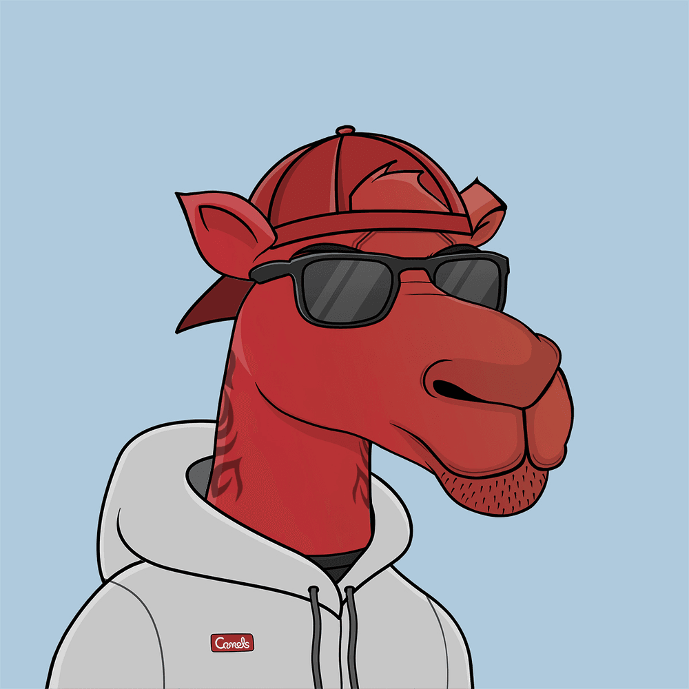 Cryptodaave's tweet photo. @TheAntAcademy @CamelsNFT @TurtleonCro @ChimpersHQ #CamelsFam and #TurtleFam out here! 💪😎🐫🐢 https://t.co/SPHJlsM9eL