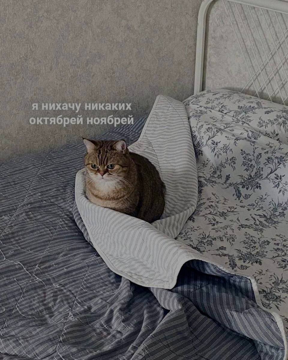 Unlegalgirl (@unlegalgirl) on Twitter photo 