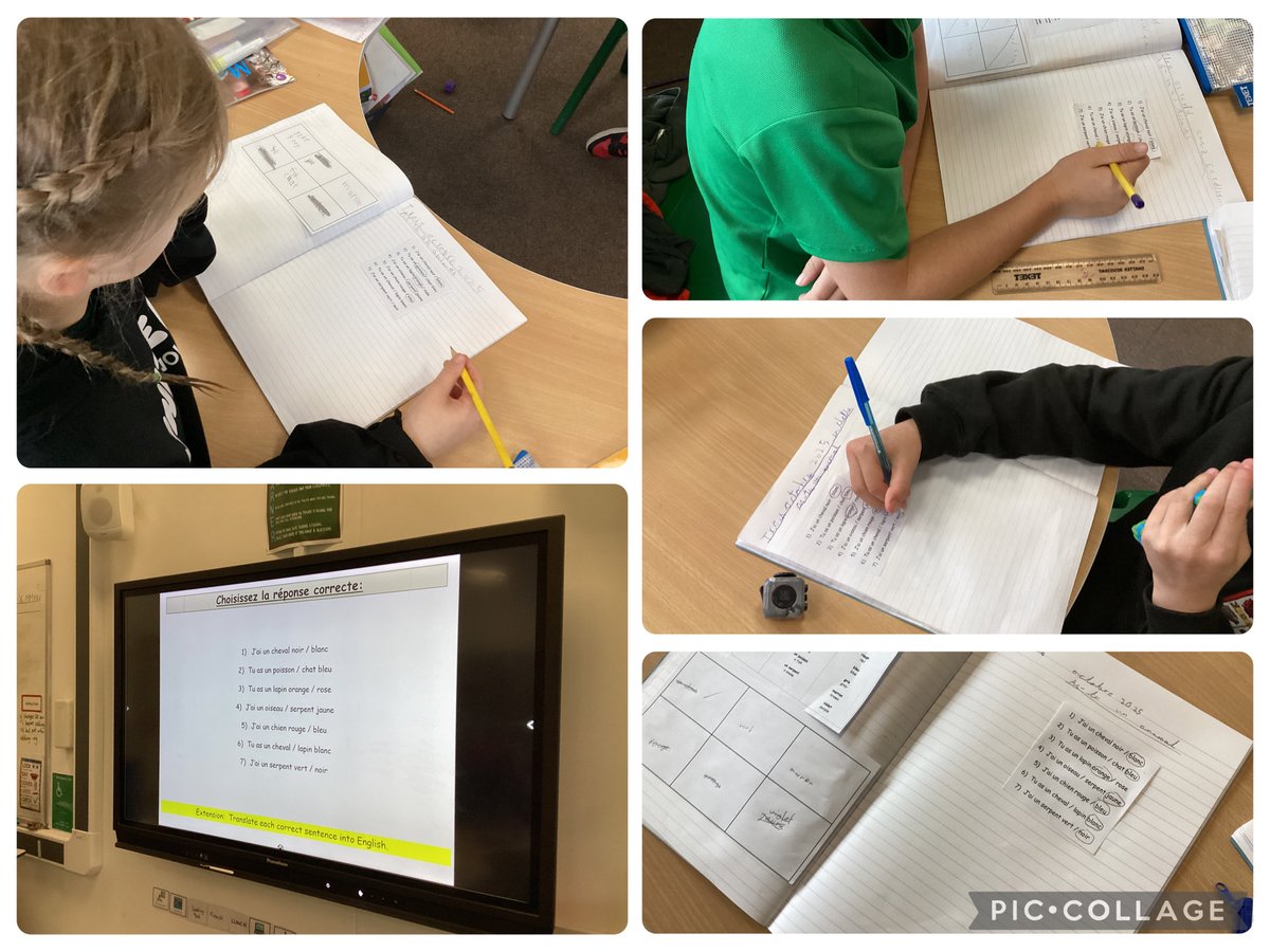 Beech Tree have been doing a listening activity in French today, including animals and colours