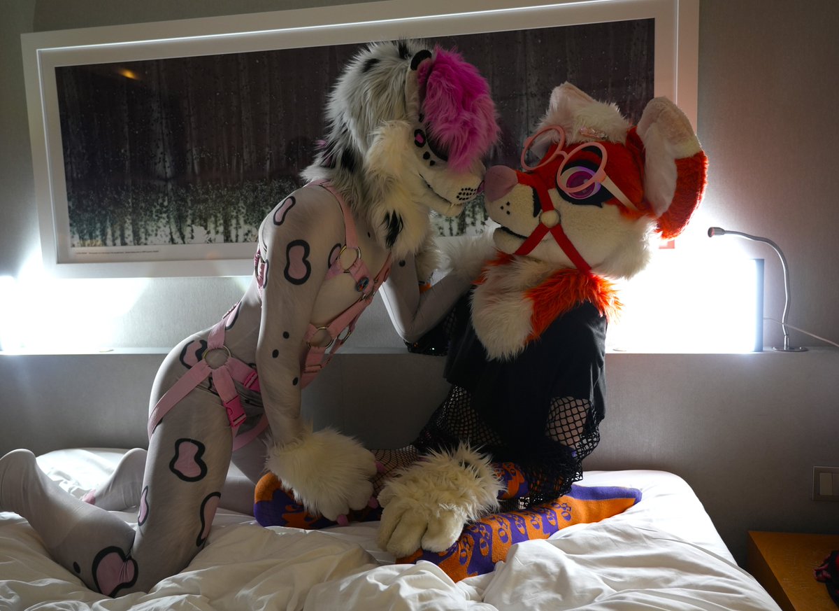 This picture was taken moments before disaster~😨
(No foxes where harmed in this production)

🦊: <a href="/OwOiey/">Louwie 🌸🔞 🔜 LFM, EF(?), NFC</a> 
📸: <a href="/LendavVR_AD/">Lendav AD 🏳️‍🌈🔜RFR, NFC</a>