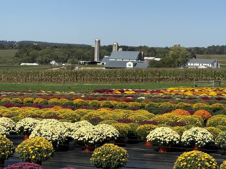 A.D. Moyer Lumber, Inc (@admoyerlumber) on Twitter photo Good morning America 🇺🇸 from SEPA. Happy Friday 🍂 A brisk 45° here, going up to sunny and 73° today. Support your local farmers.👊
📷Frecon Farms
📷William McGlothlin Good morning America 🇺🇸 from SEPA. Happy Friday 🍂 A brisk 45° here, going up to sunny and 73° today. Support your local farmers.👊
📷Frecon Farms
📷William McGlothlin