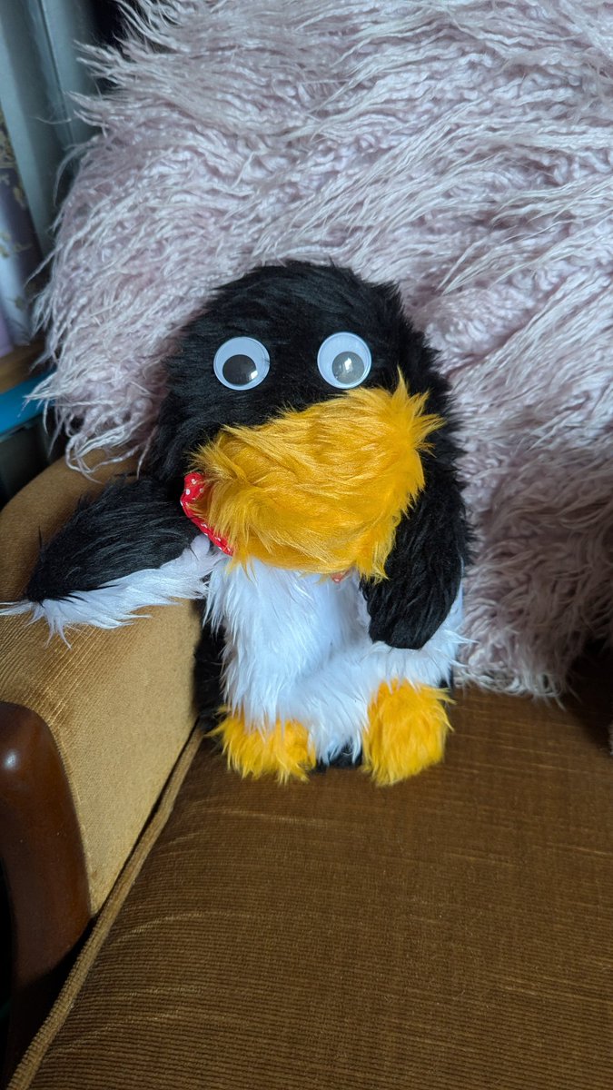 ConinaUK's tweet photo. Mr. Flibble was a rather depressed looking penguin on Monday before I left for Oxford. This morning he's looking much perkier. Is this a sign he likes living with me, or all part of his evil master plan? ๐ง
#RedDwarf #MrFlibble https://t.co/J55ShMNndQ