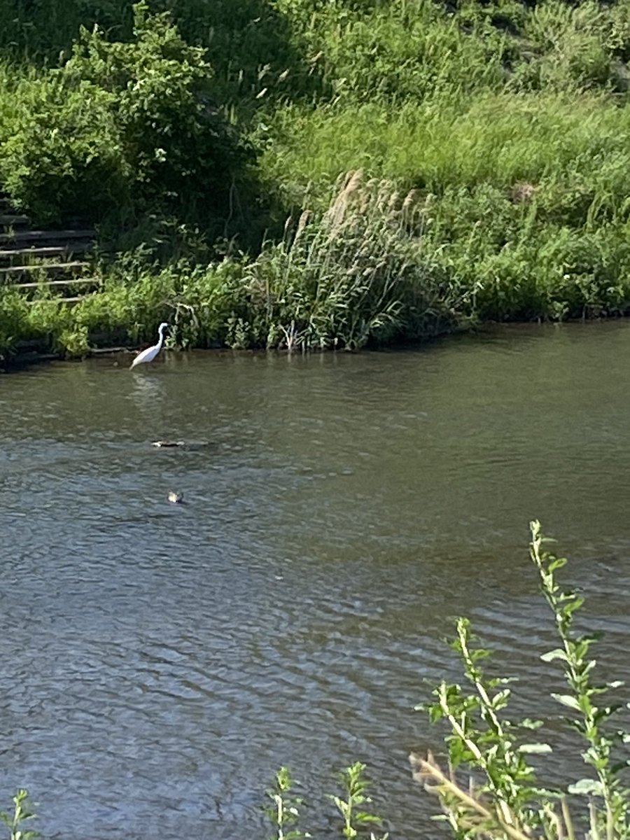 本日は会社帰りに平塚駅から総合公園２周３５分ｊｏｇ。ぼちぼちながら、この平日は５日連続でラン出来ました😊