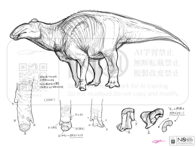 ところでエドモントサウルスの前肢の考察とか興味あります? 